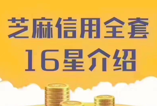 支付宝16星代点亮,支付宝芝麻分16星,16星开通方法和作用 