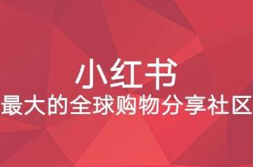 小红书上发布作品赚钱相关问题概述